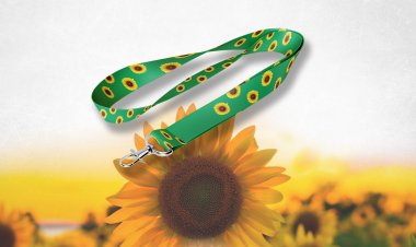 Dr. Laércio sanciona lei que estabelece cordão de girassóis para identificação de pessoas com deficiência oculta em João Monlevade