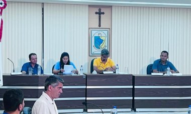 Vereadores de Rio Piracicaba aprovam declaração de utilidade pública para Associação de Proteção aos Animais