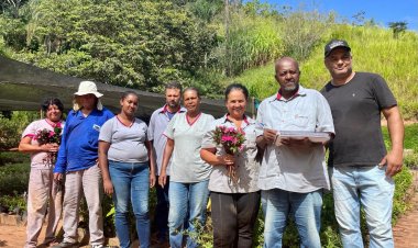 Viveiro de Mudas de São Gonçalo do Rio Abaixo oferece espécies variadas para doação à população