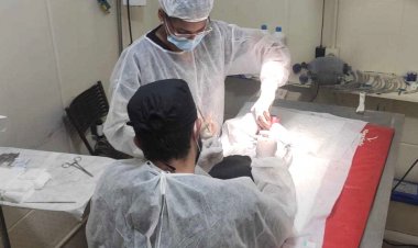 Inscrições para Castração Gratuita de Cães e Gatos em São Gonçalo do Rio Abaixo vão até o dia 10 de abril