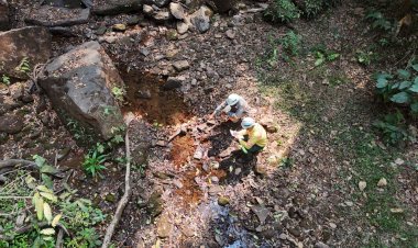 ArcelorMittal inicia projeto para proteção e recuperação de nascentes em João Monlevade