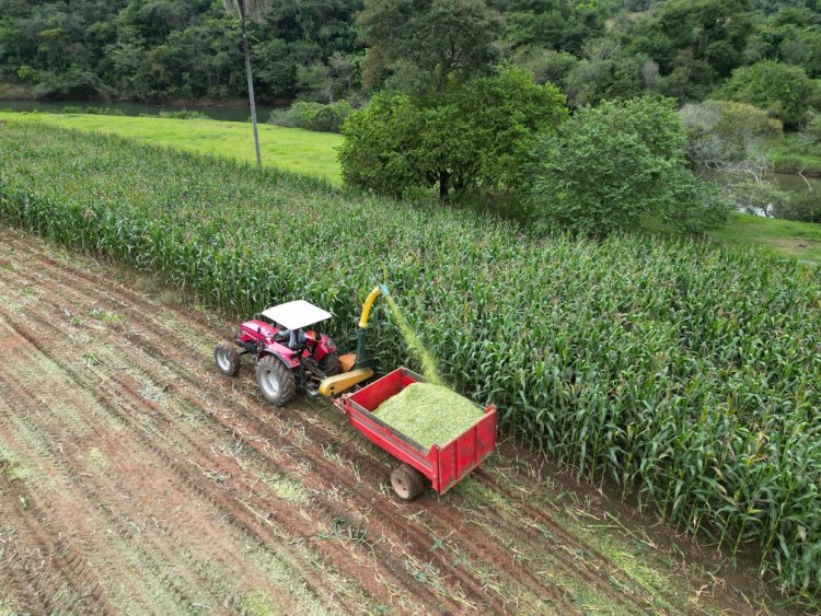 Safrinha de Silagem de Milho Beneficia Produtores Rurais em São Gonçalo do Rio Abaixo