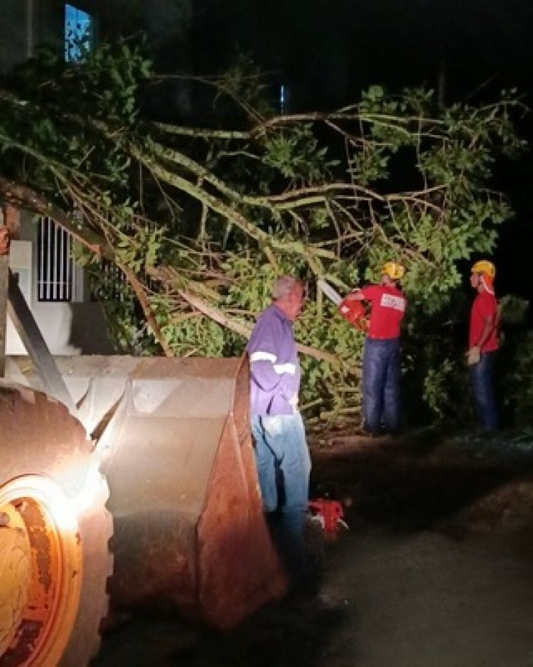 Resposta ágil da Prefeitura de João Monlevade reduz transtornos após chuva e ventania