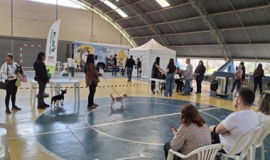 Castramóvel retorna a João Monlevade para nova etapa de castrações gratuitas em março