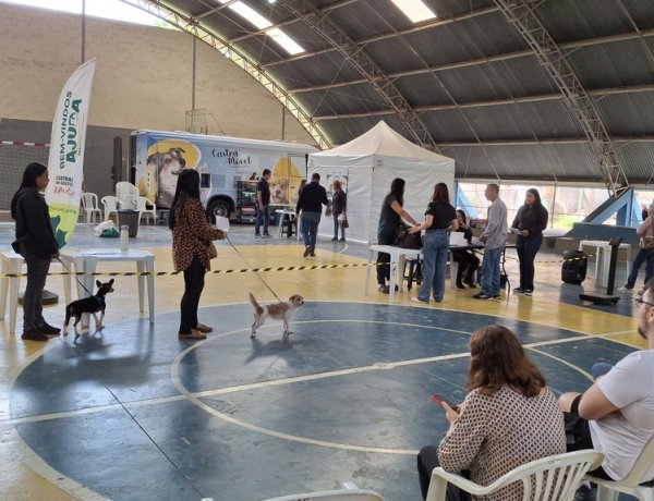 Castramóvel retorna a João Monlevade para nova etapa de castrações gratuitas em março
