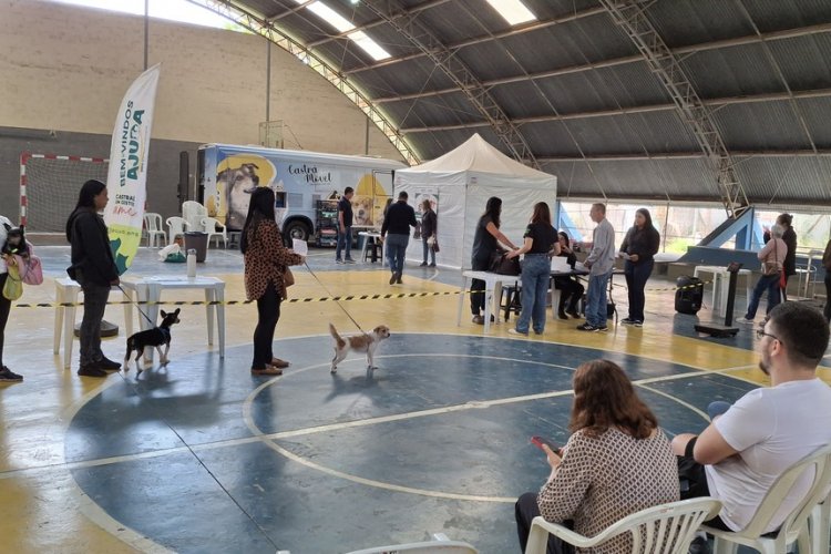 Castramóvel retorna a João Monlevade para nova etapa de castrações gratuitas em março