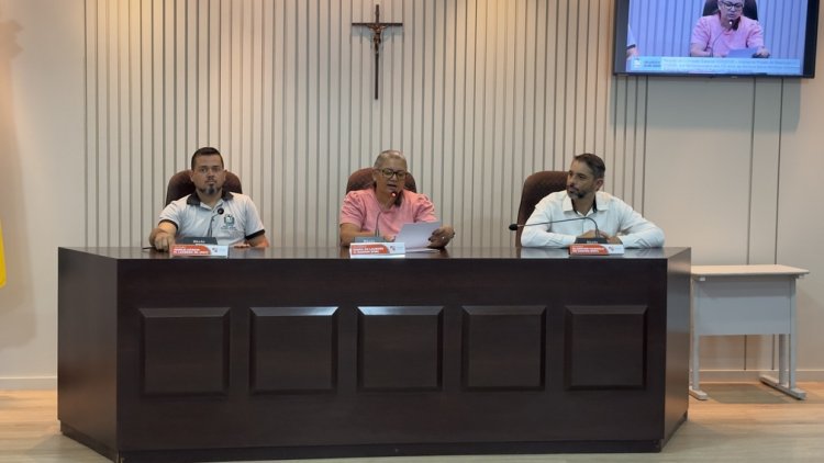 Legislativo de São Gonçalo avança com homenagem ao centenário de Maria Henrique Valadares