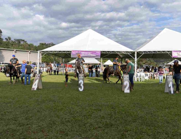 Concurso de marcha reúne 345 animais e reforça tradição na 38ª Cavalgada de São Gonçalo