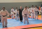 Festival de Artes Marciais reúne 350 atletas e lota o Ginásio do Cesp em João Monlevade