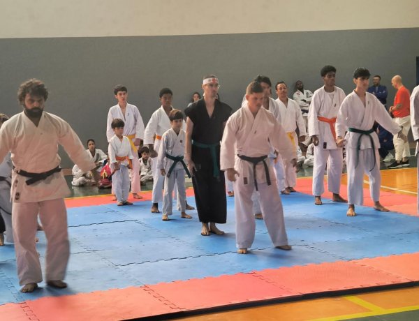Festival de Artes Marciais reúne 350 atletas e lota o Ginásio do Cesp em João Monlevade