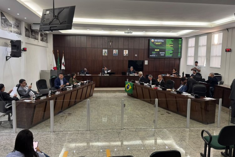 Projeto que cria o Selo “Empresa Amiga do Autista” em João Monlevade é aprovado
